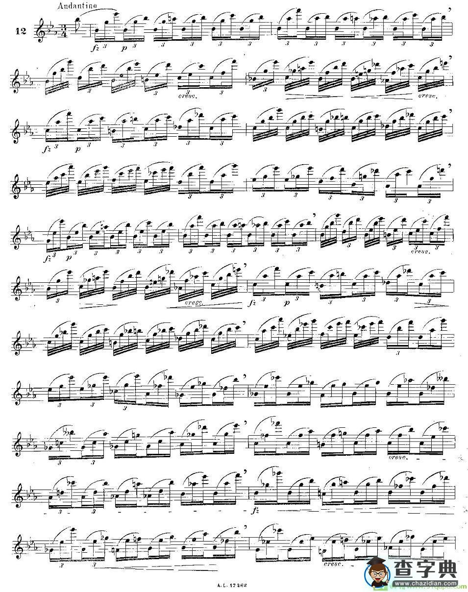 12首大技巧练习曲之12长笛谱(Moyse（莫伊斯）作曲)