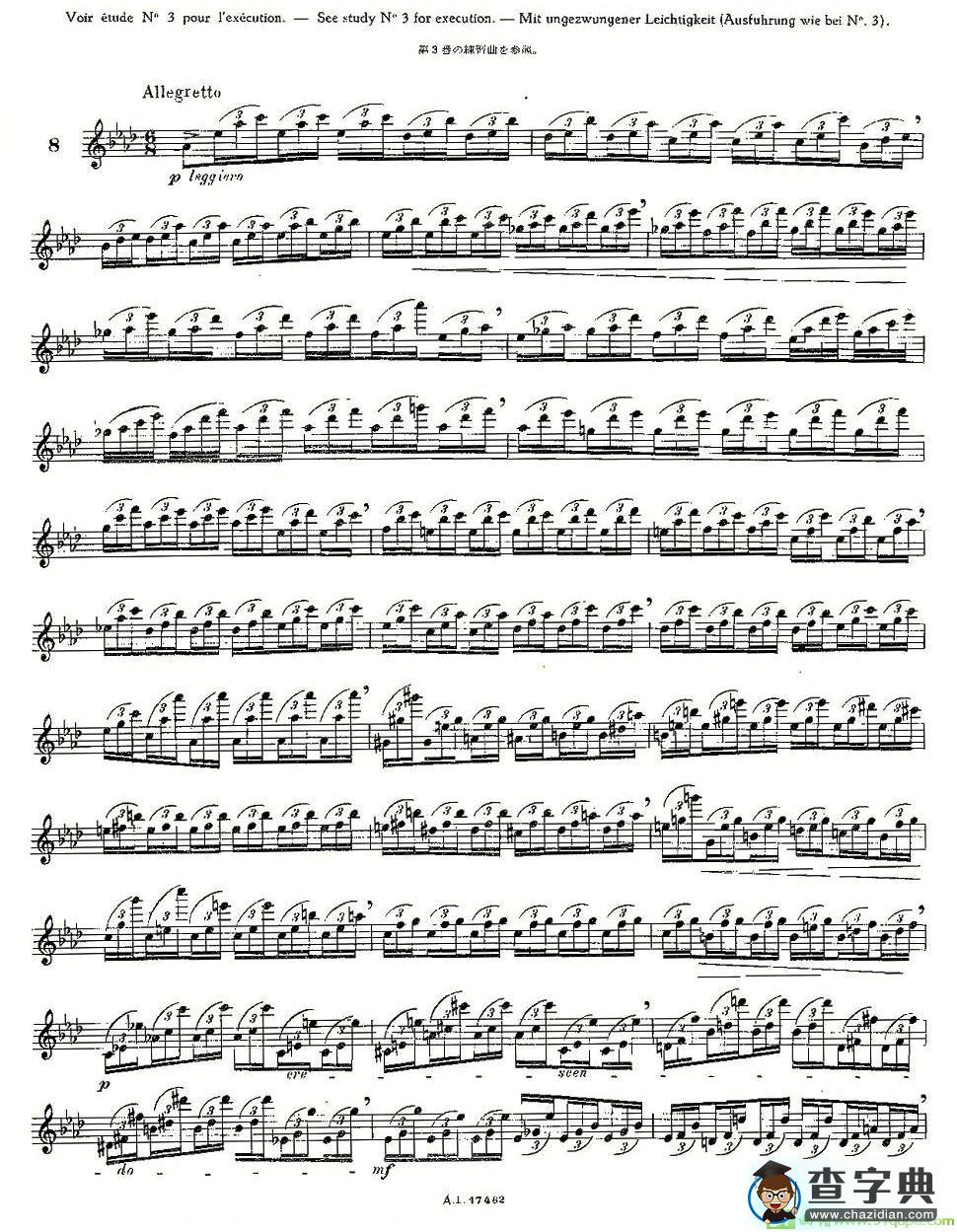 12首大技巧练习曲之8长笛谱(Moyse（莫伊斯）作曲)