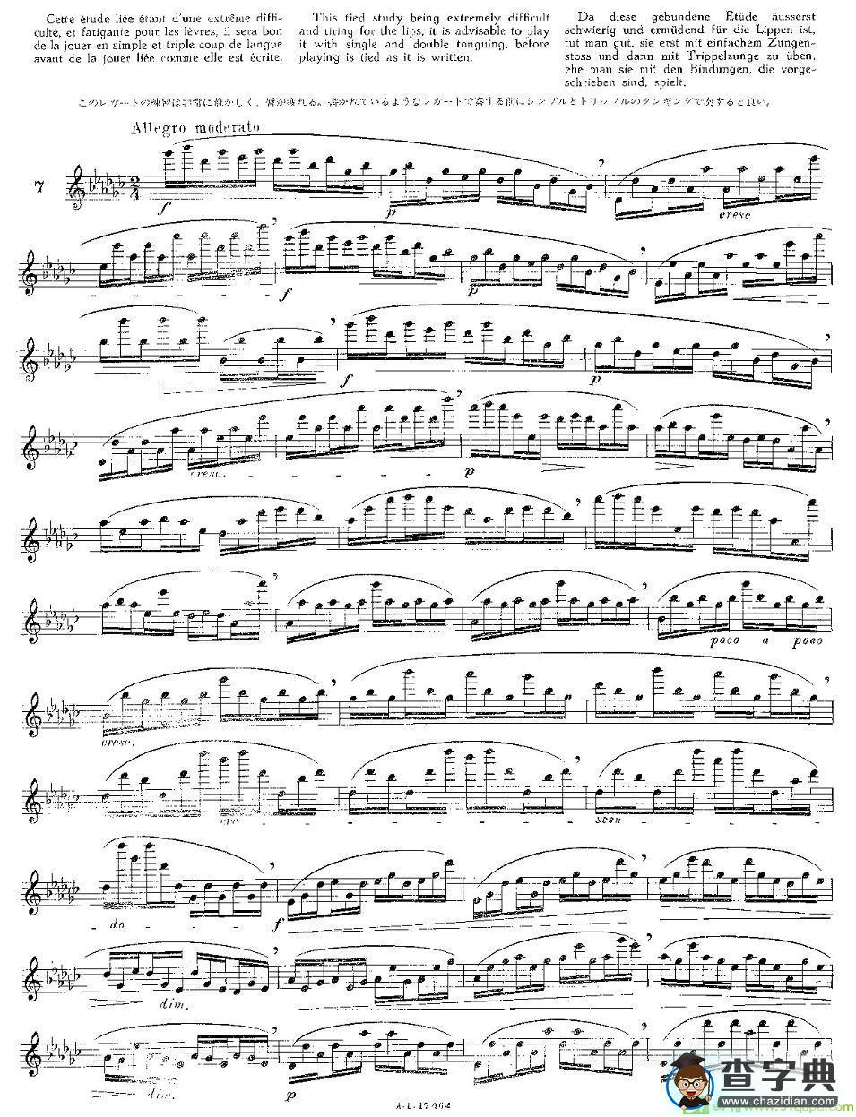 12首大技巧练习曲之7长笛谱(Moyse（莫伊斯）作曲)