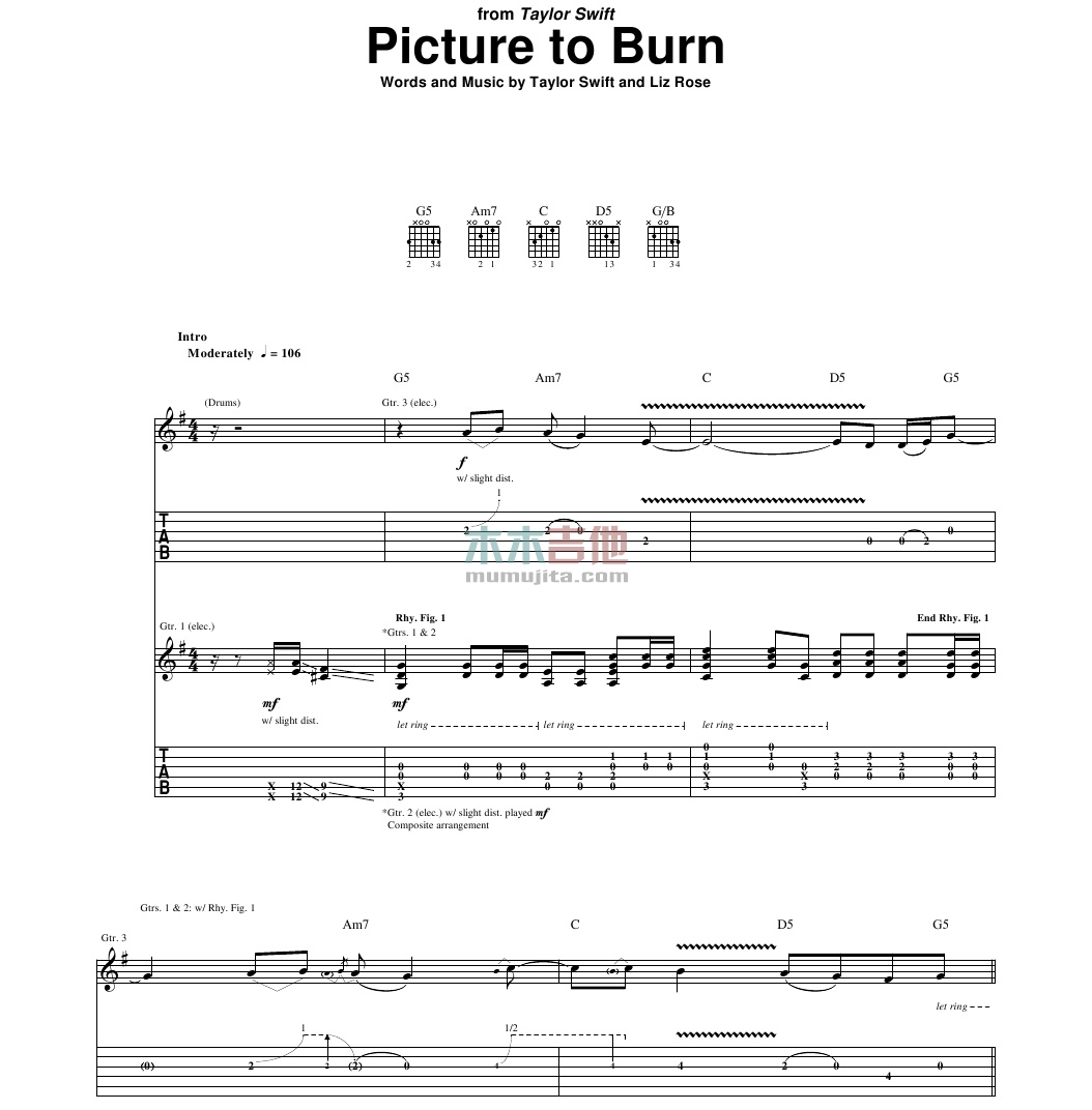 Picture to Burn(吉他谱)