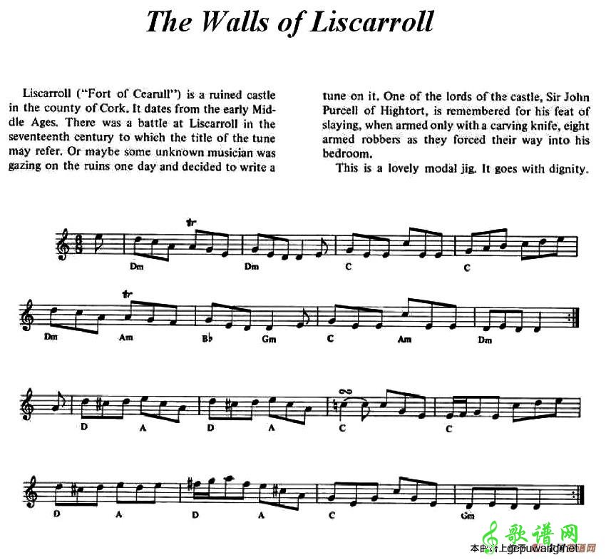 The Walls of Liscarroll