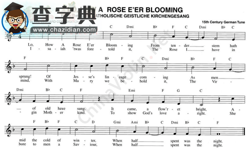 111.lo,how a rose e`er blooming小提琴谱