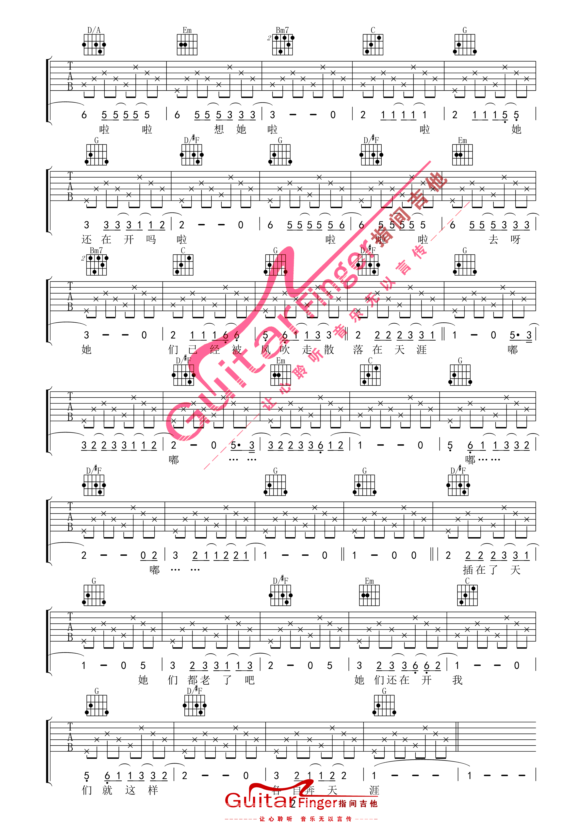 朴树 那些花儿