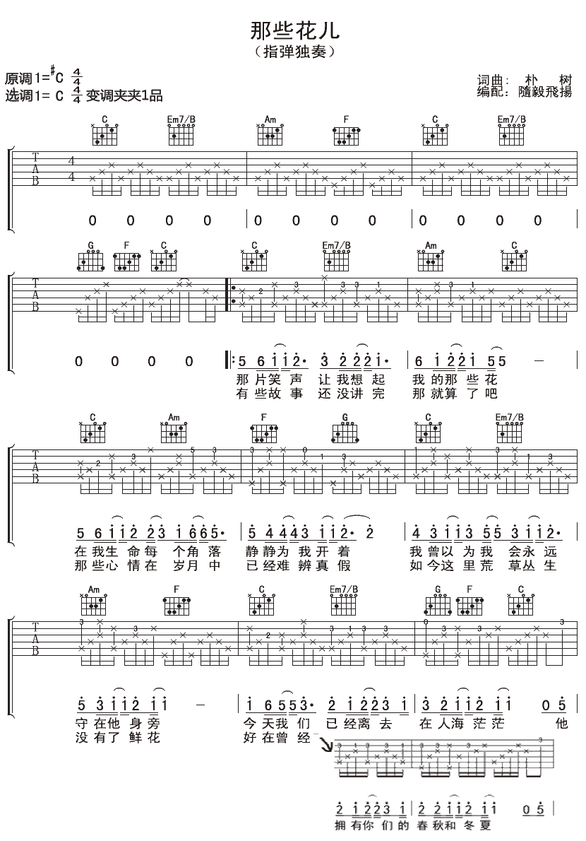 朴树 那些花儿