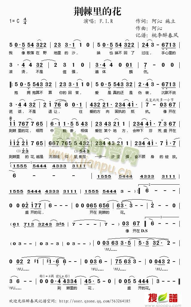 荆棘花园数字谱图片