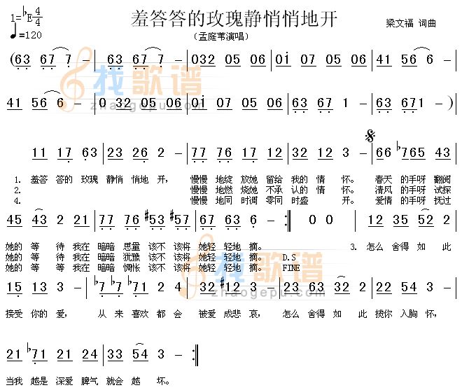 羞答答的玫瑰静悄悄地开