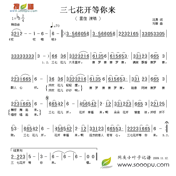 三七花开等你来