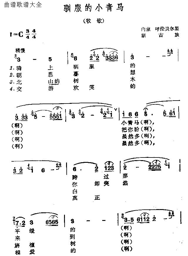 驯服的小青马