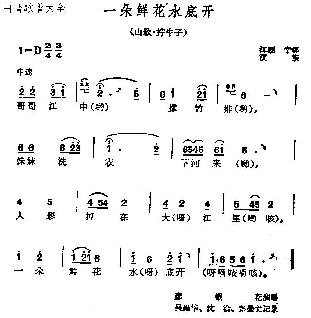 一朵鲜花水底开