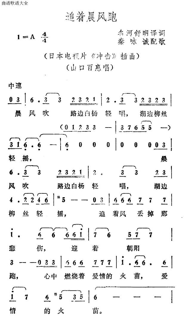 追着晨风跑