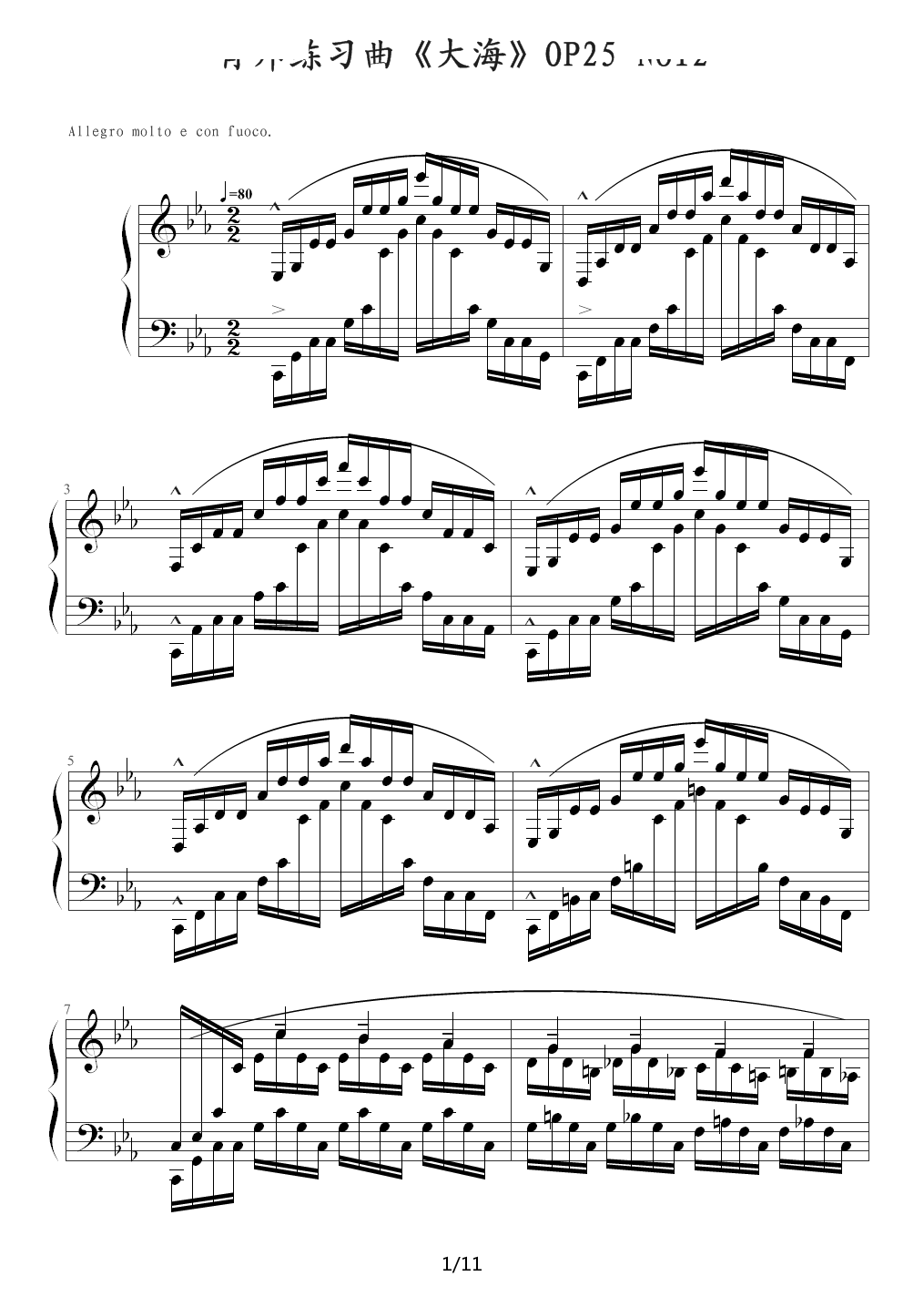 Chopin.肖邦 练习曲 Op.25 No.12 大海 降E调