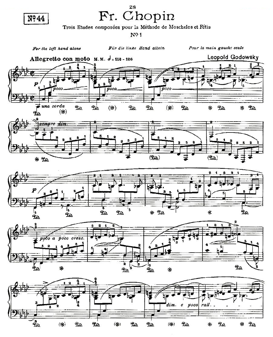 肖邦练习曲Fr.Chopin No 1