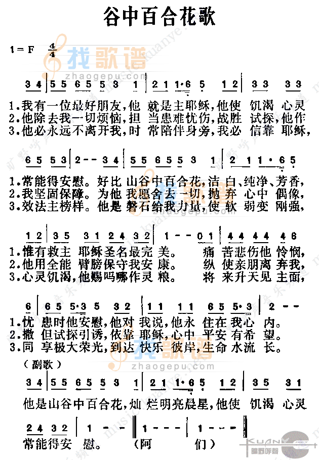 谷中百合花