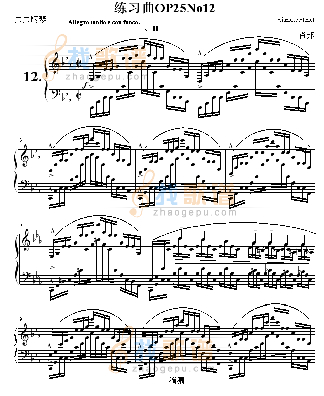 练习曲OP25No12