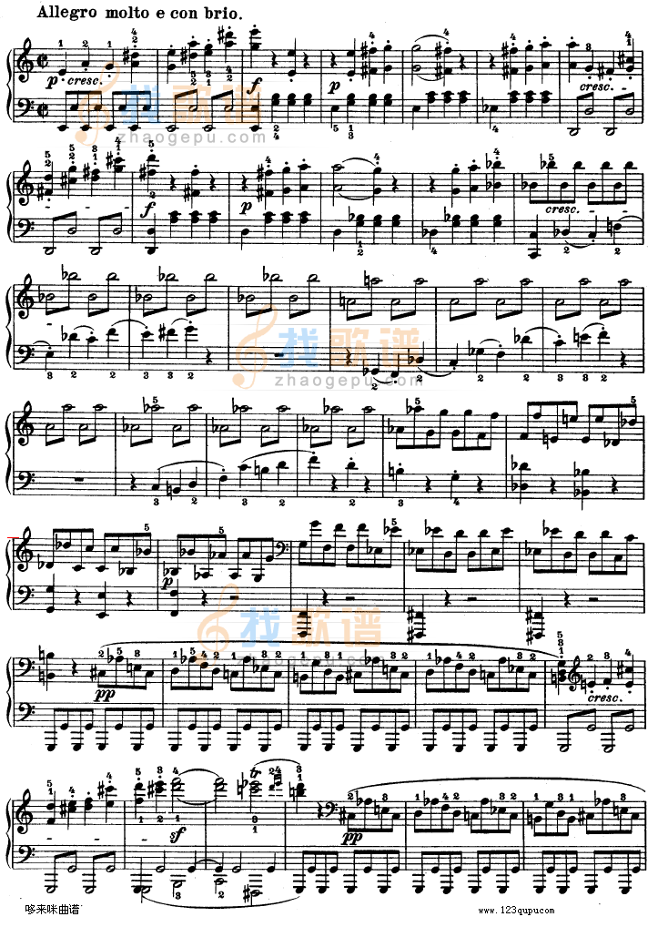 C小调第八琴奏鸣曲（悲怆）Op—13-贝多芬