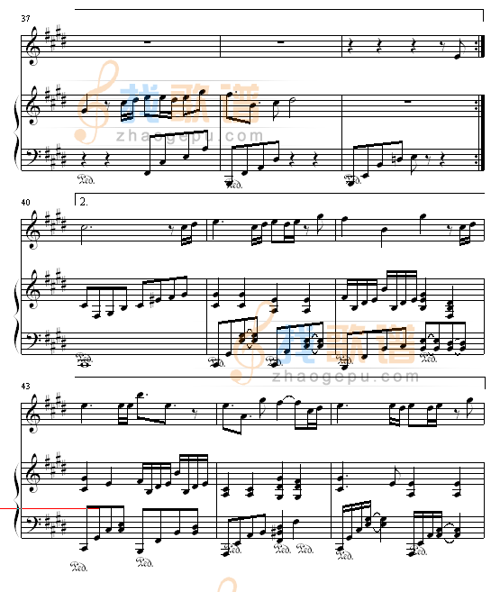 口袋的天空