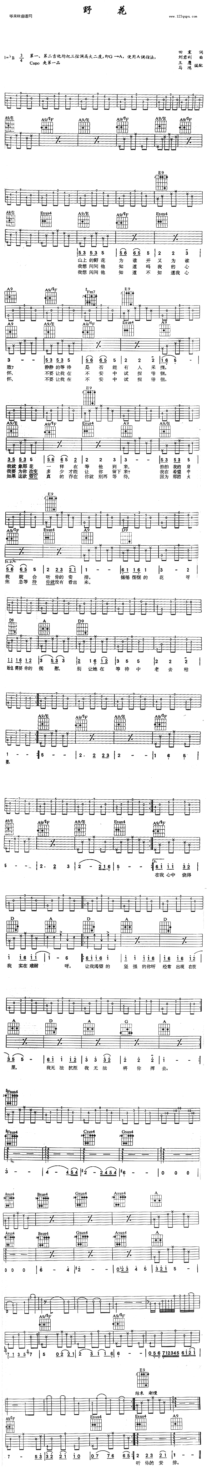 野花 (田震 )