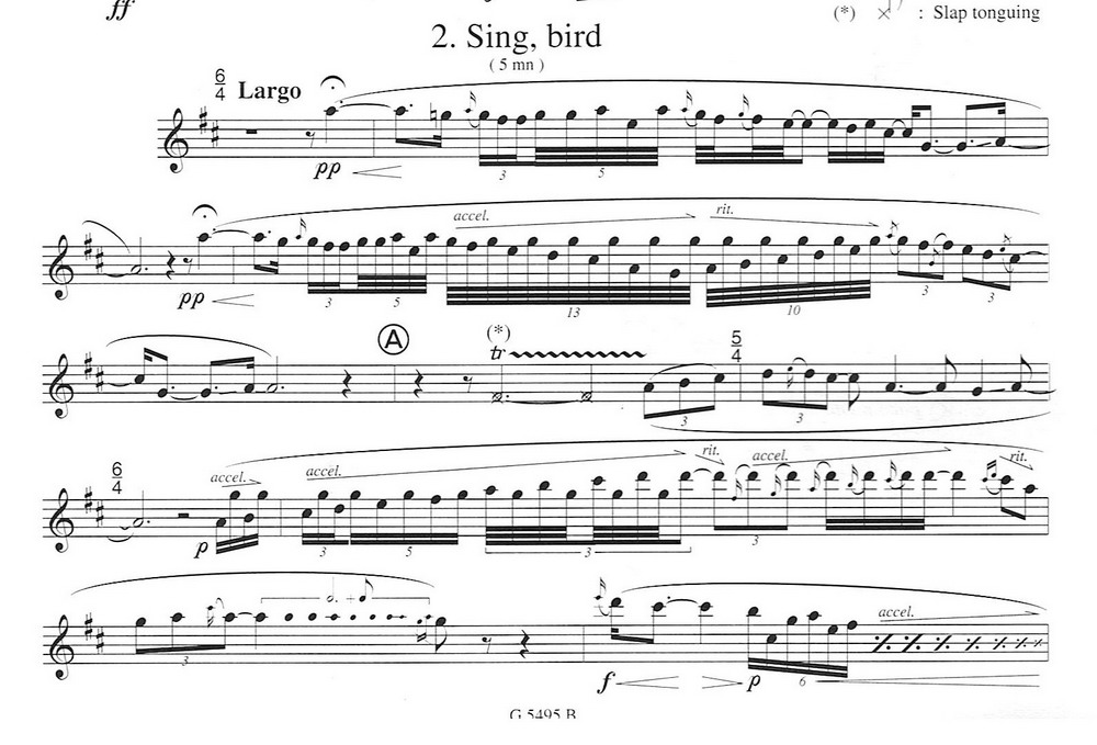 须川展也的Fuzzy Bird Sonata(Sing, Bird)毛绒鸟奏鸣曲二