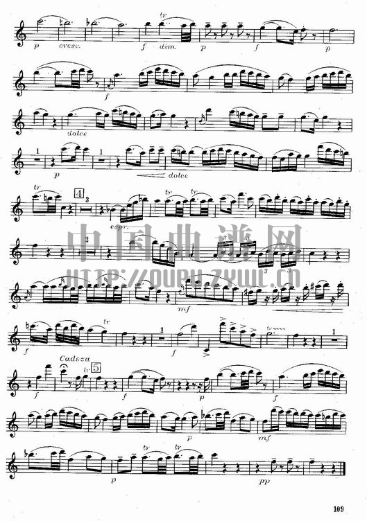 莫扎特C大调长笛协奏曲(Morzat C Major Concerto)(1-5页)