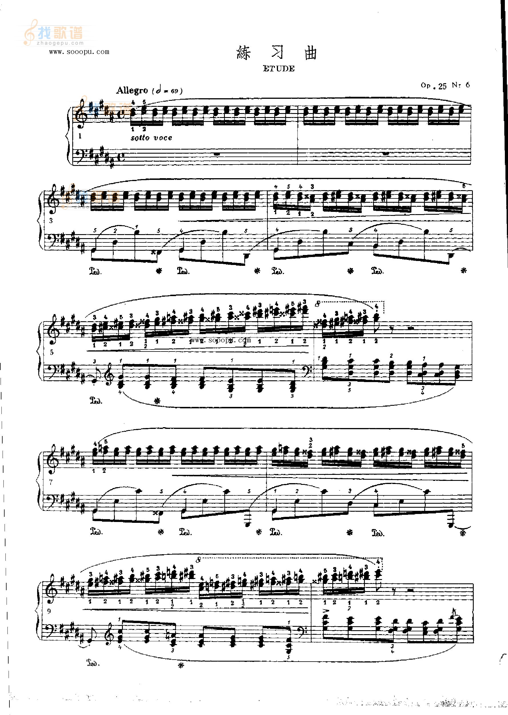 练习曲OP.25  Nr6 