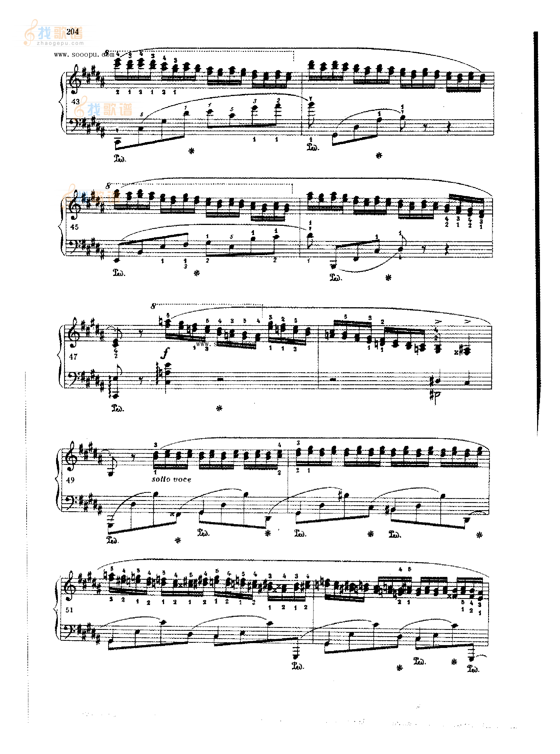 练习曲OP.25  Nr6 